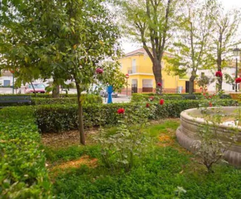 فيلا Casa Pablo -Granada- المظهر الخارجي الصورة